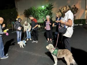 583324389_817571031075228_4030470860638785230_n