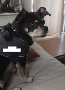 583917254_817570311075300_6312421747615731116_n