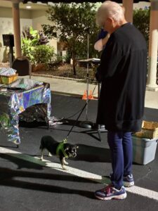 585455131 817571134408551 6883739140762188734 N