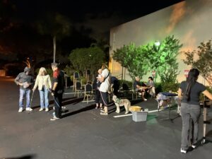 585578113 817571074408557 2535690580628283555 N